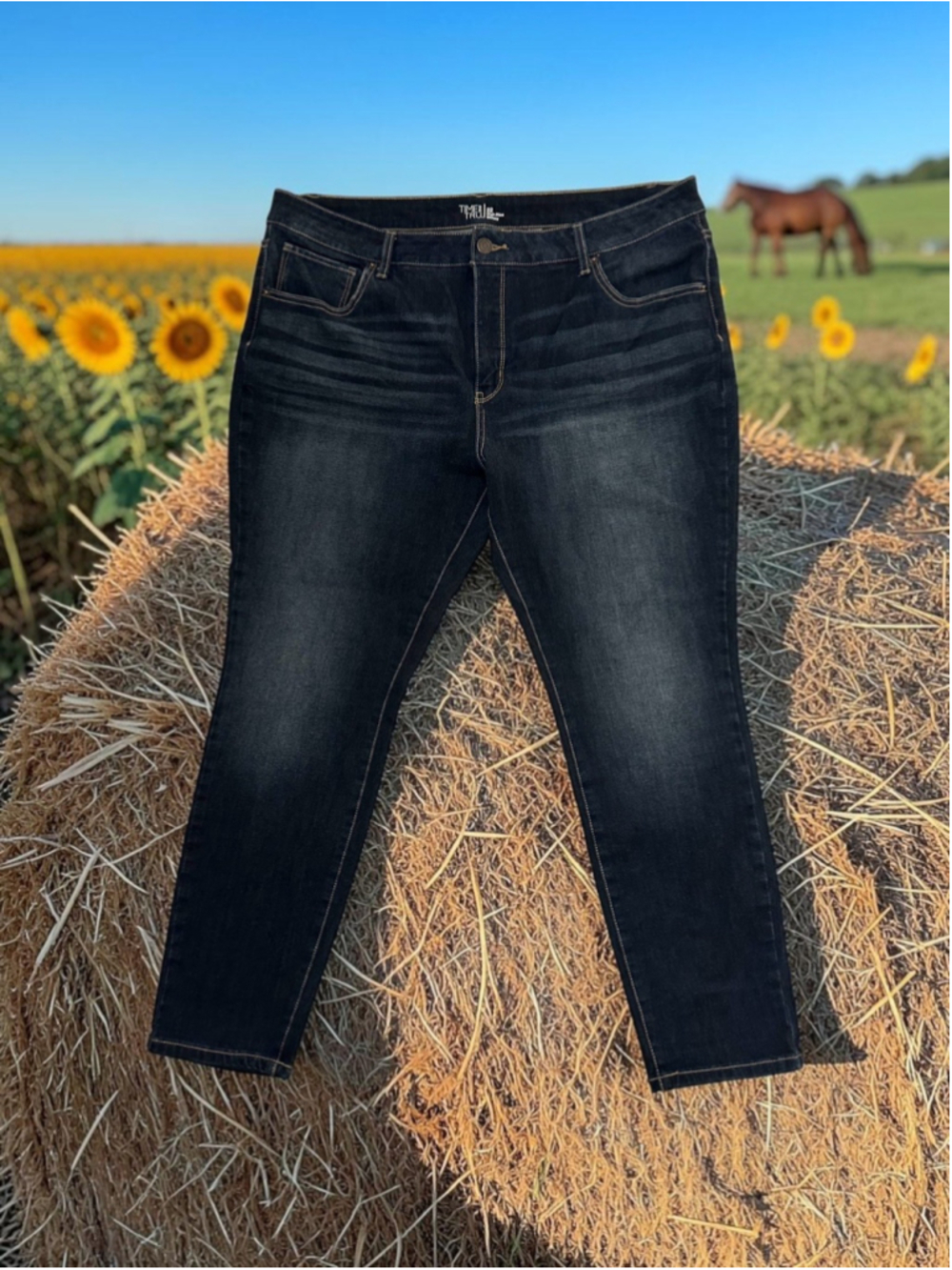 Time & Tru High Rise Skinny Jeans Womens 22 Blue Denim City Cowgirl Western